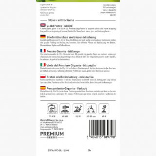 Bratek wielkokwiatowy - mieszanka - 600 nasion