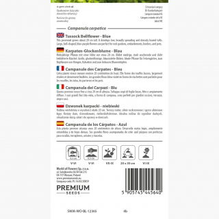 Dzwonek karpacki niebieski - 3000 nasion