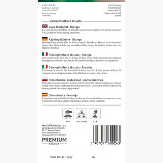 Dimorfoteka   - pomarańczowa