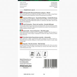 Ostróżka letnia hiacyntowa wysoka