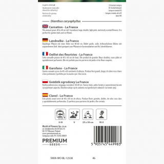 Goździk ogrodowy La France