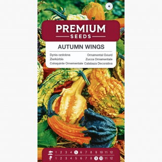 Dynia dekoracyjna - Autumn Wings - 22 nasiona