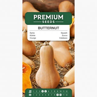 Dynia piżmowa - Butternut - 16 nasion