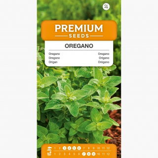Oregano - Lebiodka pospolita