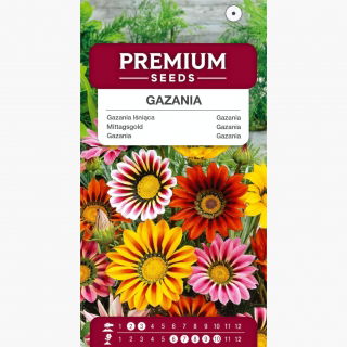 Gazania lśniąca - 130 nasion