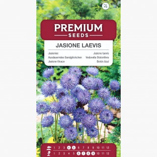 Jasieniec - 900 nasion