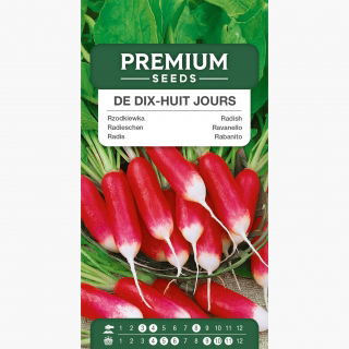 Rzodkiewka 18 dniowa - De dix-huit jours - 425 nasion