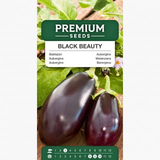 Oberżyna Black Beauty - 210 nasion