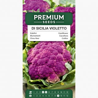 Kalafior o róży fioletowej Di Sicilia violetto - 54 nasion