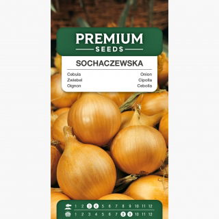 Cebula Sochaczewska - 1250 nasion