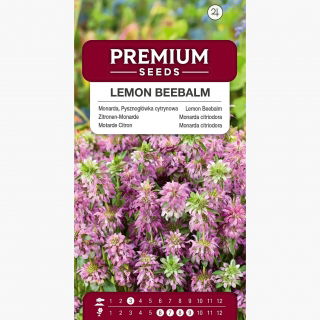Monarda, Pysznogłówka cytrynowa - 180 nasion