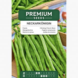 Fasola tyczna - Neckarkonigin - 20 nasion
