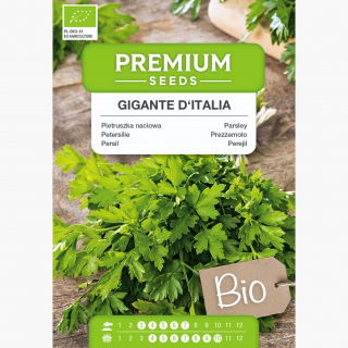 BIO Pietruszka naciowa - Gigante d'Italia - Certyfikowane nasiona ekologiczne - 1200 nasion