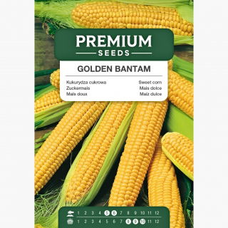 Kukurydza cukrowa Golden Bantam - 100 nasion