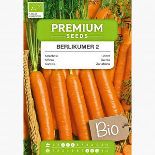 BIO Marchew Berlikumer - Certyfikowane nasiona ekologiczne - 4250 nasion