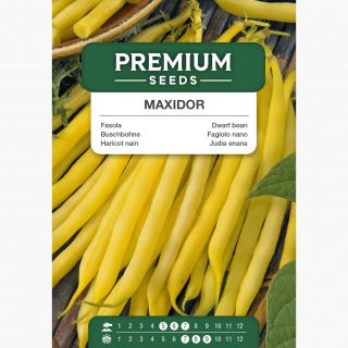 Fasola Maxidor - szparagowa, żółta, smaczna i bezwłóknista - 120 nasion