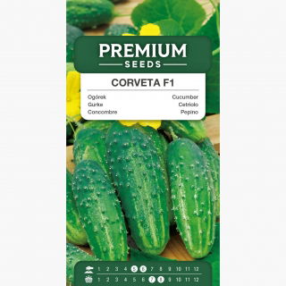 Ogórek Corveta F1 - gruntowy, kwaszeniak, ciemnozielony - 105 nasion
