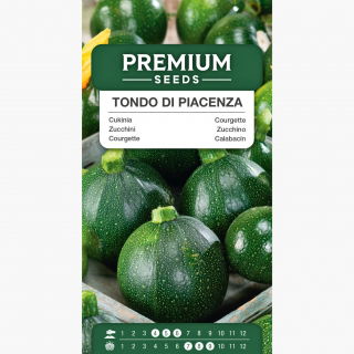 Cukinia Tondo di Piacenza - wczesna, plenna - 18 nasion