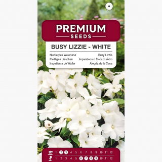 Niecierpek Waleriana - biały