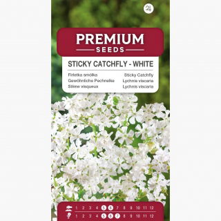 Firletka smółka - biała