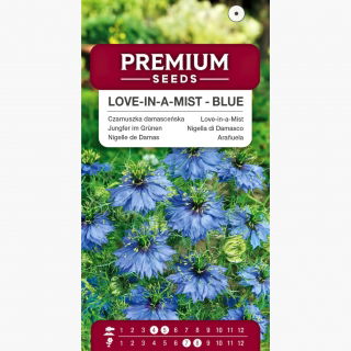 Czarnuszka damasceńska - niebieska