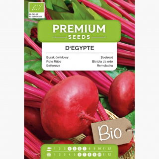 BIO Burak ćwikłowy D'Egypte