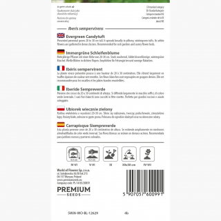 Ubiorek wieczniezielony - 125 nasion