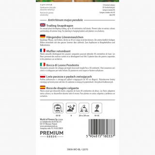 Lwia paszcza o pędach zwisających - 100 nasion
