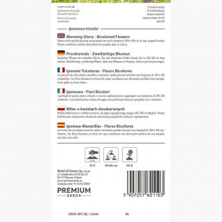 Wilec o dwubarwnych kwiatach - 56 nasion