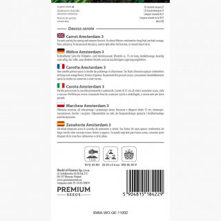 Marchew wczesna Amsterdamska