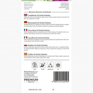 Kalafior o róży fioletowej Di Sicilia violetto - 54 nasion