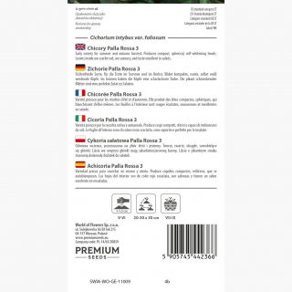 Cykoria sałatowa radicchio Palla Rossa 3 - 360 nasion