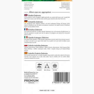 Cebula szalotka - Zebrune - 855 nasion