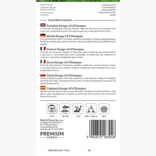 Dynia olbrzymia Rouge vif d'Etampes - duże, spłaszczone, żebrowane owoce - 9 nasion