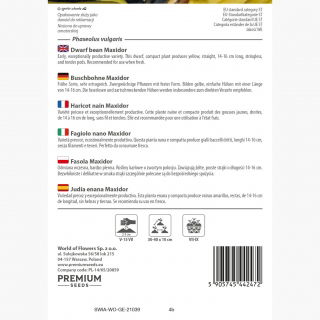 Fasola Maxidor - szparagowa, żółta, smaczna i bezwłóknista - 120 nasion