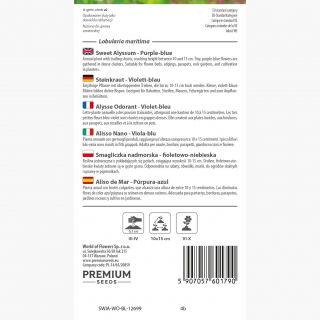 Smagliczka nadmorska - niebieska