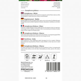 Gomfrena - biała - idealna do suszenia
