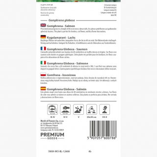 Gomfrena - łososiowa - idealna do suszenia