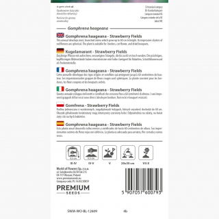 Gomfrena - Strawberry Fields - idealna do suszenia