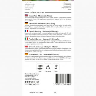Groszek pachnący olbrzymi Mamut