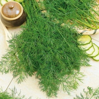 Koper ogrodowy Hanak - wczesny - 100 gram