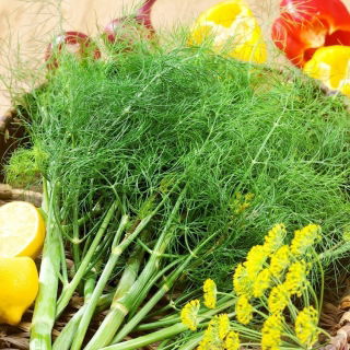 Koper ogrodowy Sprinter - 100 gram