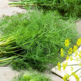 Koper ogrodowy Moravan - duże opakowanie - 500 gram