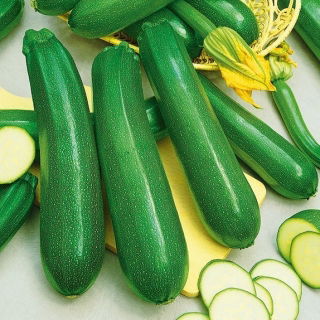 Cukinia Diamant F1 - Wyjątkowa wydajność i odporność, bardzo dobry smak - 100 gram