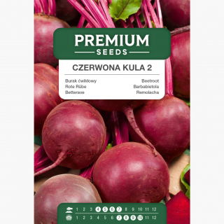 Burak ćwikłowy - Czerwona Kula