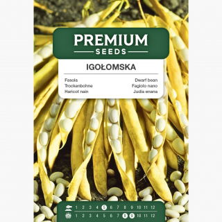 Fasola na suche nasiona karłowa IGOŁOMSKA - 100 nasion