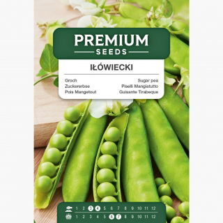 Groch cukrowy IŁÓWIECKI - 280 nasion