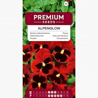 Bratek wielkokwiatowy - czerwony z czarną plamą - 400 nasion