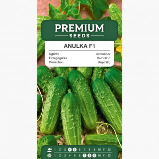 Ogórek gruntowy Anulka F1 - korniszon - 105 nasion