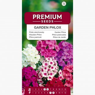 Floks wiechowaty, Płomyk wiechowaty - kolorowa mieszanka - 100 nasion